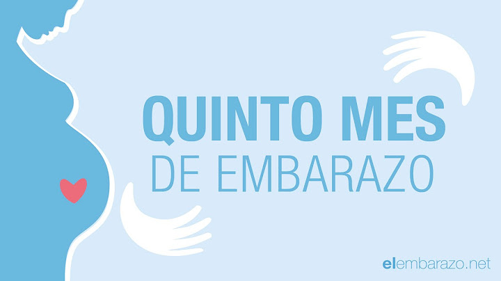 Quinto mes de embarazo | 5 meses de embarazo | El embarazo mes a mes