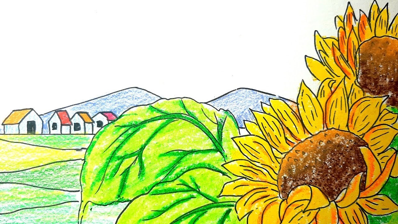 Sunflower field Drawings  Sketch by robert manalang  Artistcom