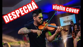 ROSALÍA - DESPECHÁ (Violino Cover - Douglas Mendes)
