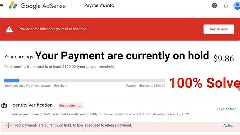 Identity Verification Problem | Your Payment are currently on hold | How to Apply For AdSense PIN