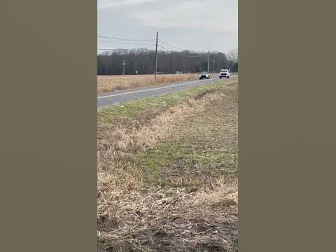 2023 ford f150 vs 2023 ford mustang 5.0 10 speed vs 10 speed - YouTube