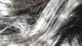 The Girl With the Flaxen Hair - Claude Debussy ~ Isao Tomita [HD]