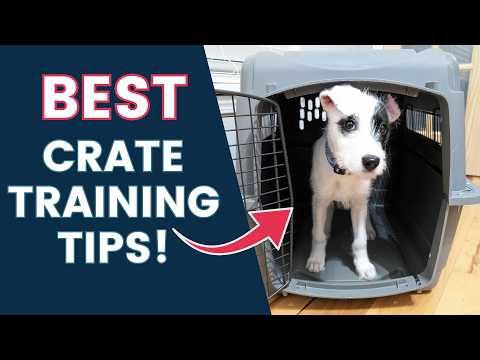 Puppy Crate Training Made Easy