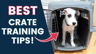 Puppy Crate Training Made Easy