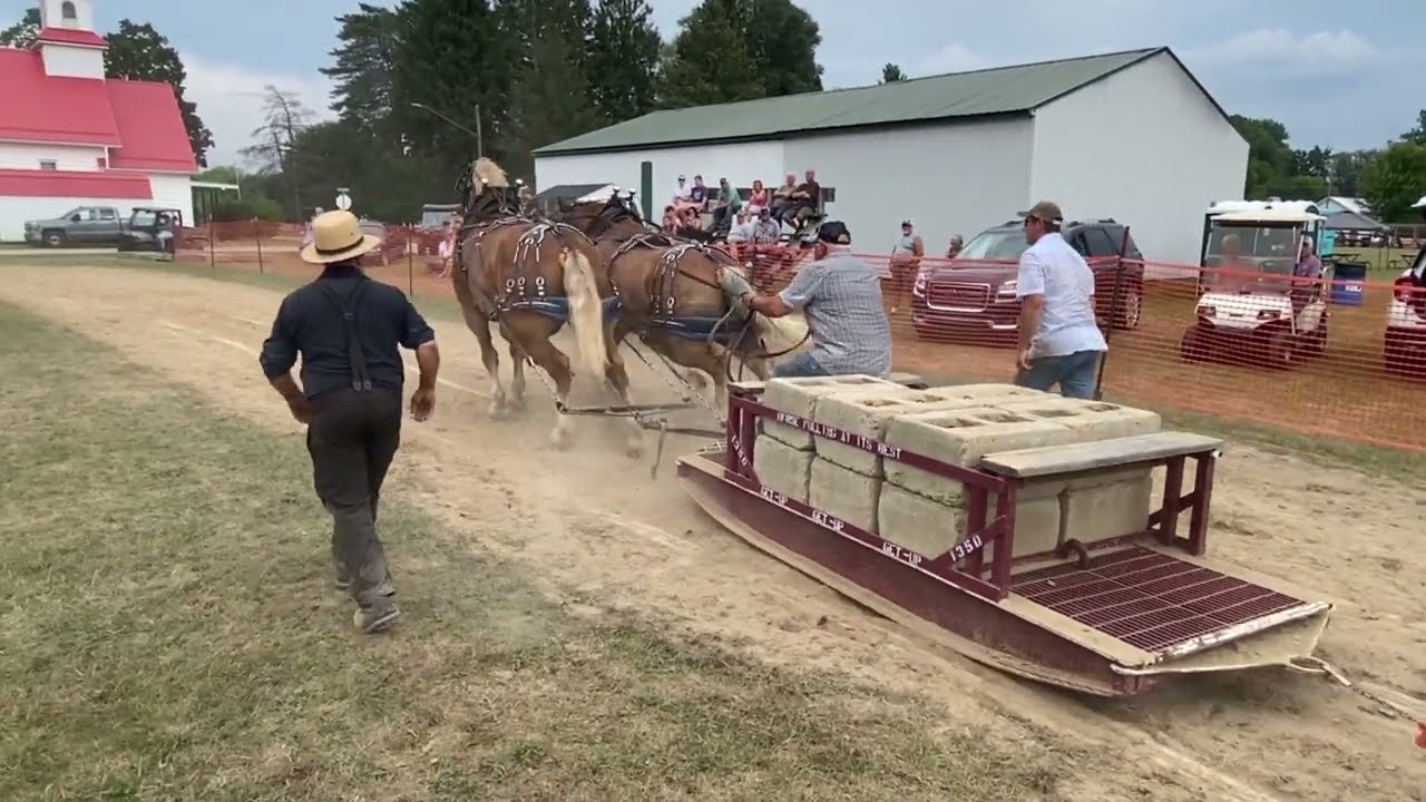 sumner horse pulls 2025