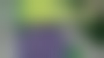 DynaVap M Plus Review | 15% Larger Chamber & Single Hit Extraction | GWNVC’s Reviews