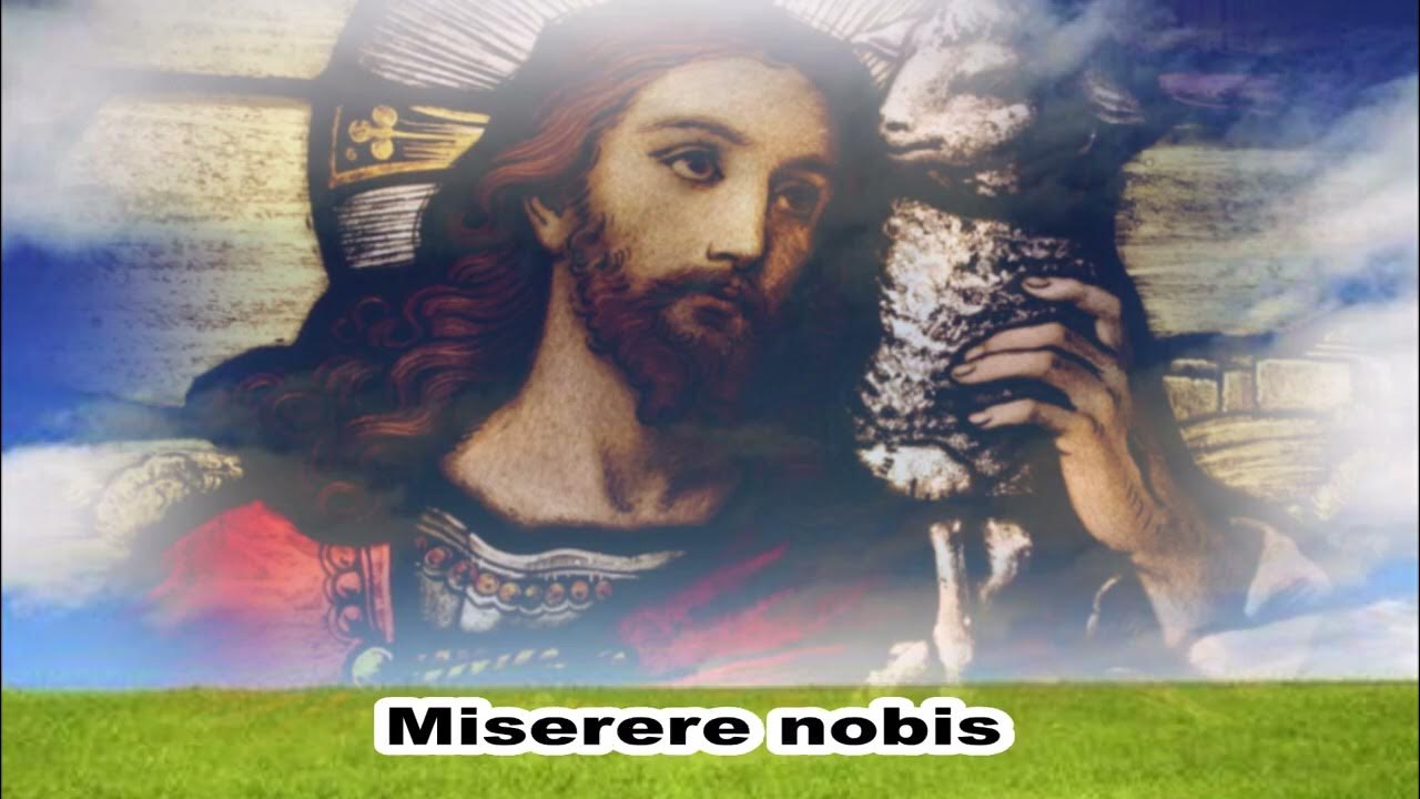 AGNUS DEI MISSA PRO EUROPA (PAROLE) AGNUS DEI MISSA PRO EUROPA (PAROLE)