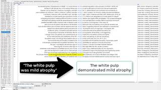 1. Using AntConc to Analyze the Corpus of English in Veterinary Medicine - Introduction