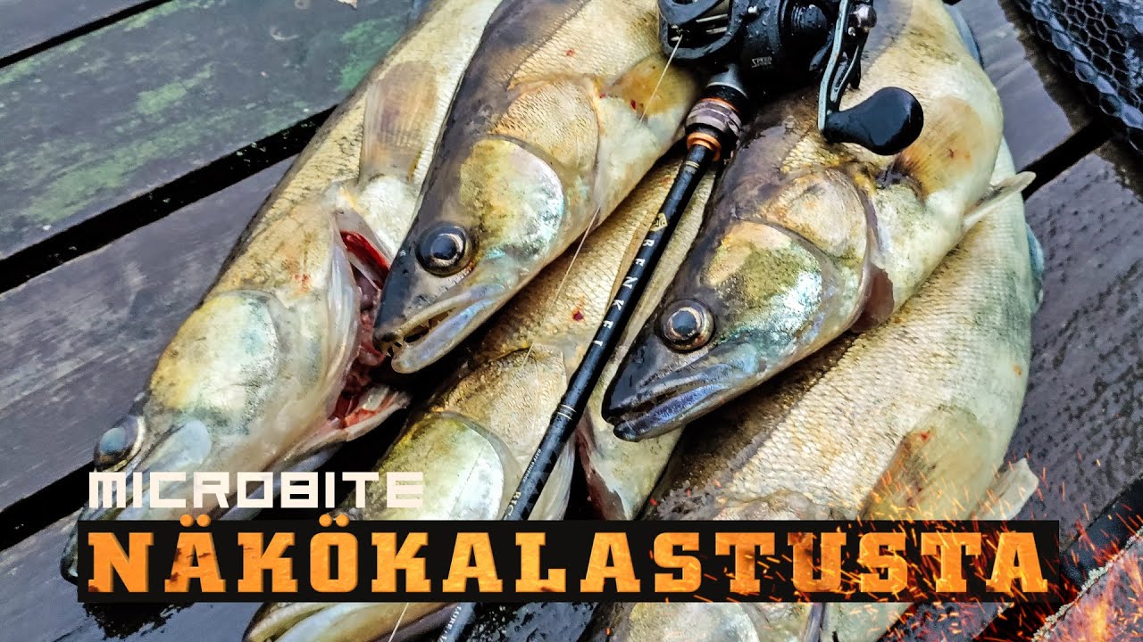Näkökalastusta / Active Target näkymää