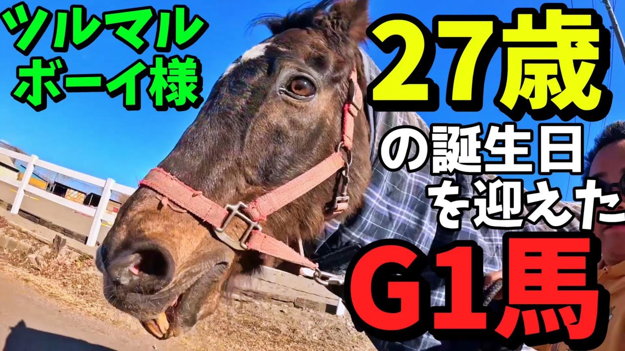 大好きなG1馬ツルマルボーイ様が27歳の誕生日を迎えました 