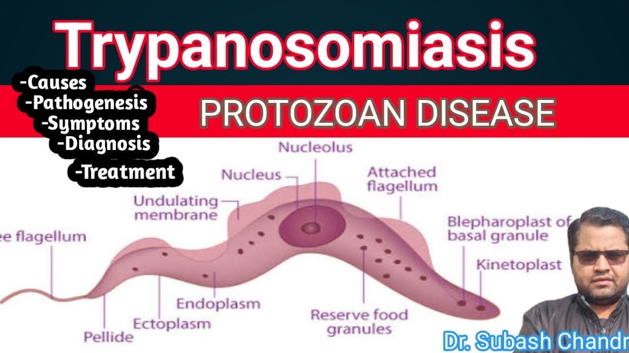 Trypanosomiasis a Protozoan Disease /Veterinary Parasitology