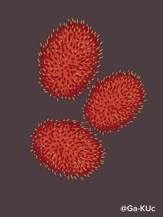 Manfaat Rambutan
