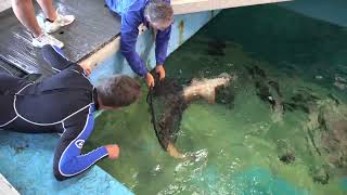 Bruce moves into Shark Pass