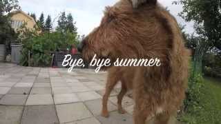 BYE BYE SUMMER