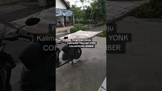 Pengiriman aksesoris kostum maskot karnaval menuju Kalimantan Timur dari YONK COLLECTIONS JEMBER