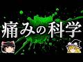 なぜ体に異常が無くても痛みが発生するのか?【ゆっくり解説】