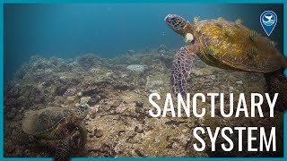 Your National Marine Sanctuary System (2023)