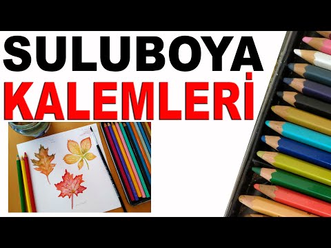 Video: Suluboya Kalemleri Nasıl Seçilir