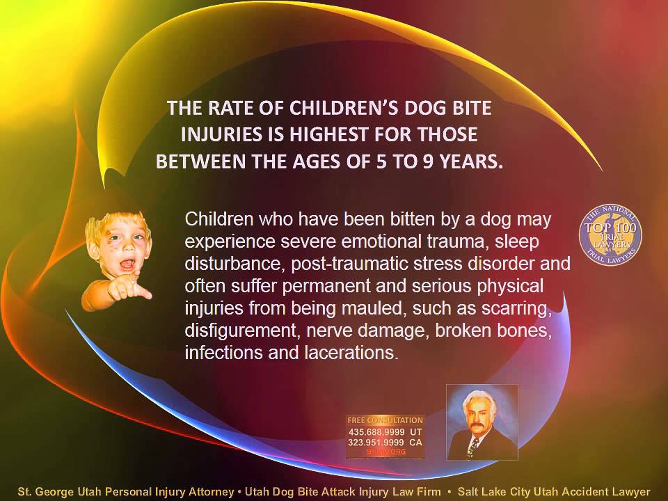 St. George Utah Dog Bite Personal Injury Attorney Salt Lake City Utah Accident Lawyer