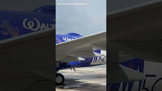 Decals Vs. Painting: The Different Ways Of Applying Aircraft Liveries #shorts