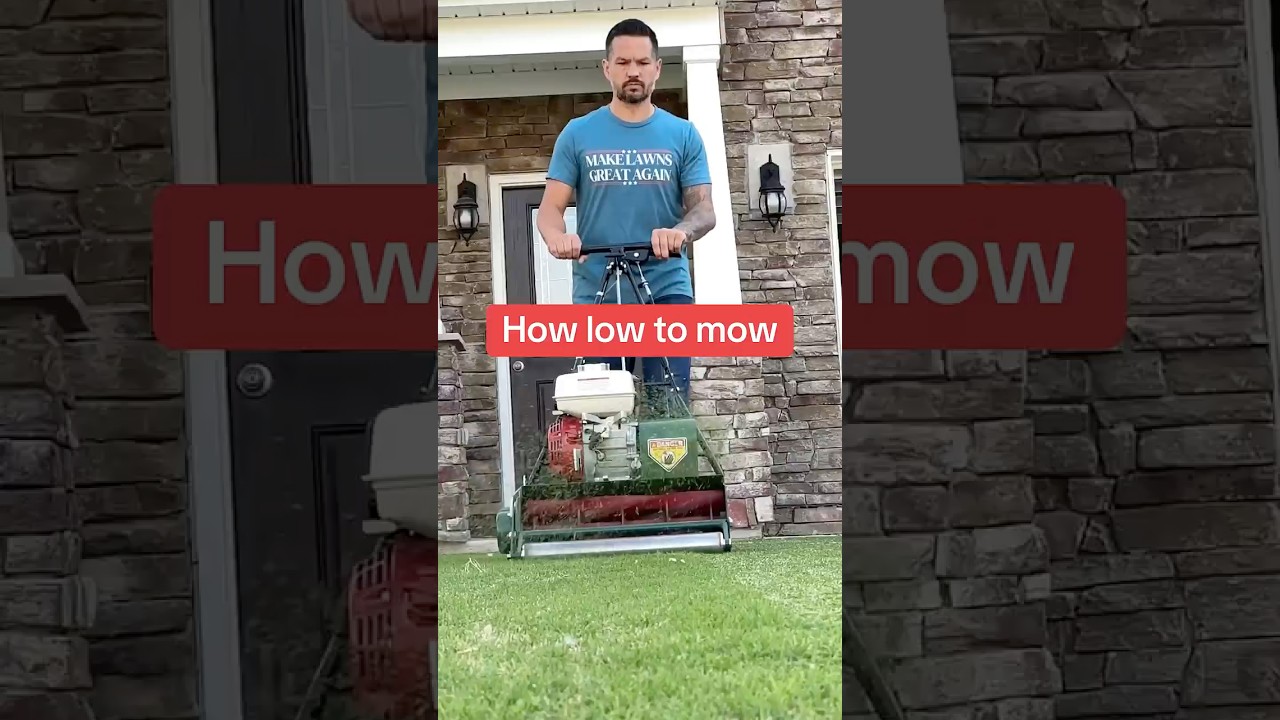 How low should you mow Bermuda grass?