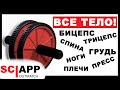 Гимнастическое Колесо Для Пресса? - Найди Ему Применение В Каждой Тренировке | Джефф Кавальер