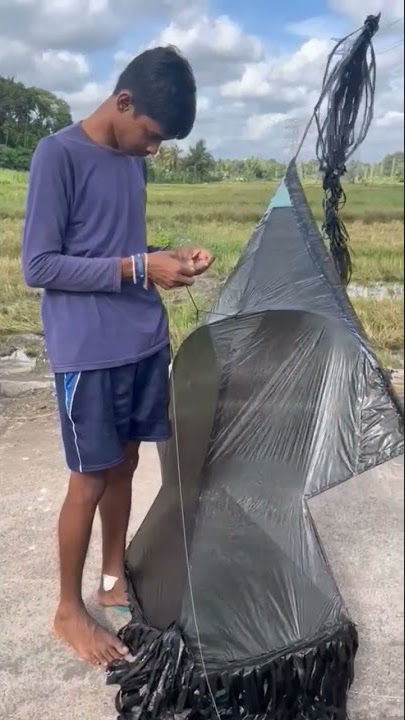 Kite 🪁  Black Peacock 🦚