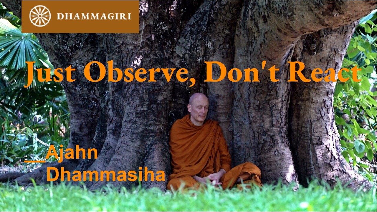 Sun. 23. Aug. 3PM - Chanting, Meditation and Reflection – Live at Dhammagiri with Ajahn Dhammasiha