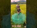 Rural Fishing Jackpot 🎣 8 Hole Net Trap | Massive Village Catch Ep26 #fishing #shortsvideo #boxnet 🌿