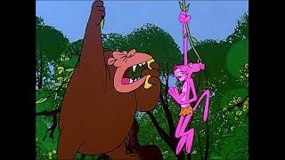Pink Panther Goes to the Hospital | 35-Minute Compilation | Pink Panther Show