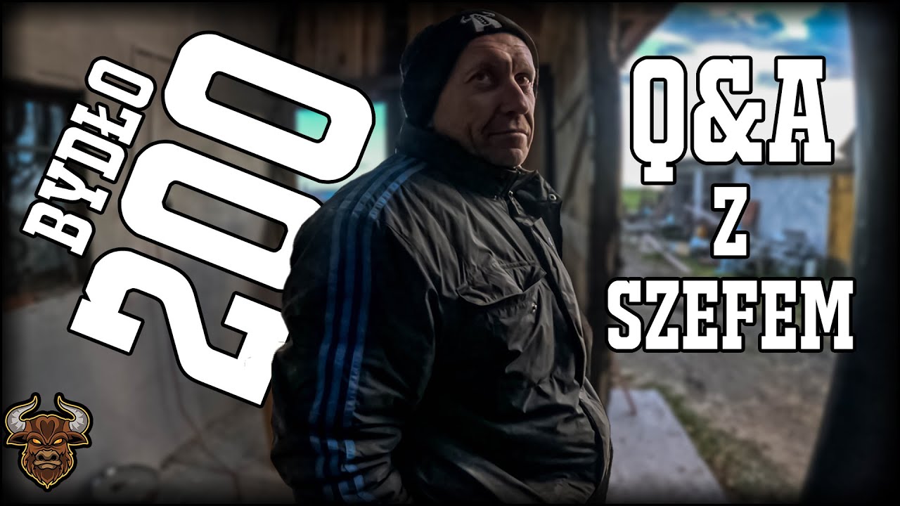 #200 Bydło opasowe - Q&A. Szefu o historii gospodarstwa i bykach | OPASOWY HIT