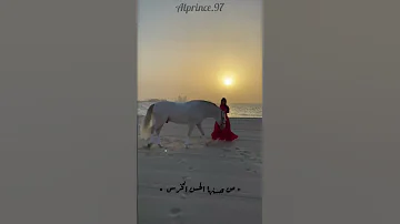 فرس فرس حسين الجسمي 