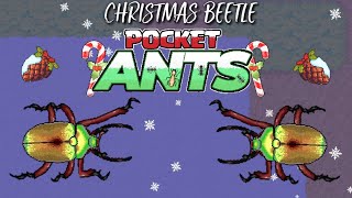 NEW CHRISTMAS BEETLE VS RHINO BEETLE COMPARISON | CHRISTMAS EVENT - POCKET ANTS