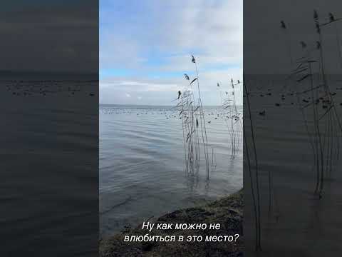 Природа … красота #беларусь #озеро #2025 #красота #природа #рыбалка #нарочь #рыбное