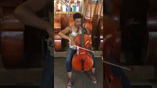 Miami String Showroom - Maple Leaf 2100c Cello