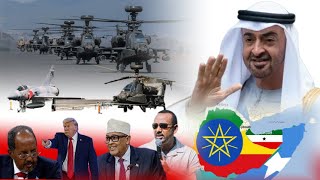 Download Lagu Warka: UAE oo si Cad Ula Safatay S/land \u0026 Itoobiya, Mareykanka oo Ka Labaanaya Aqoonsiga Somaliya MP3