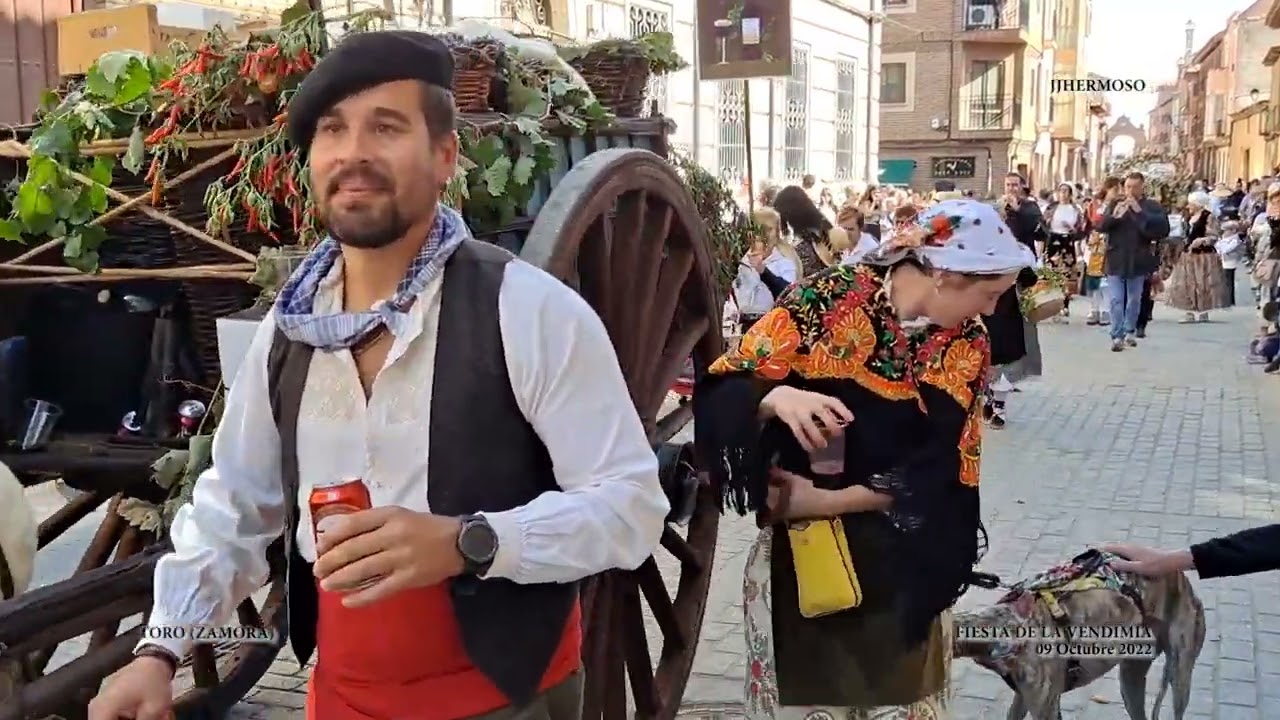 Fiesta de la Vendimia 2022 en Toro (Zamora)