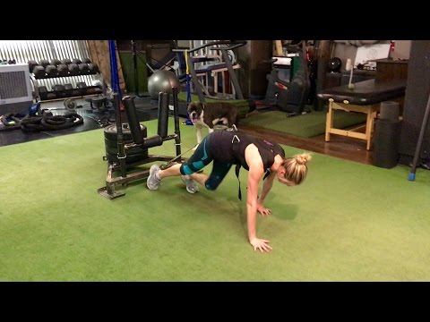 Kate Upton Bear Crawl Sled Pulls w/ 300 Pounds!!