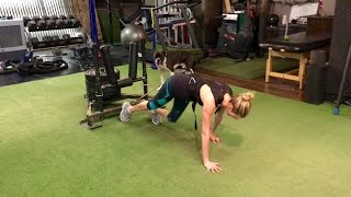 Celebrity Kate Upton Bear Crawl Sled Pulls w/ 300 Pounds!! Net Worth