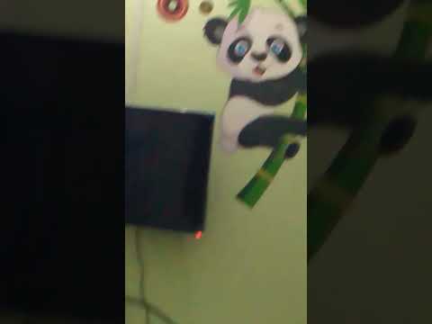 Panda Youtube Shorts Shorts Vedio 