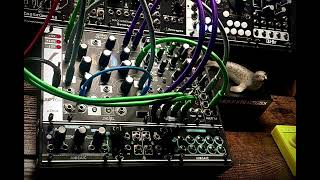 Famous Morphagene, Rings- ‘Morphagene Strategies’- RtB #eurorack #modularsynthesis #morphagene Net Worth