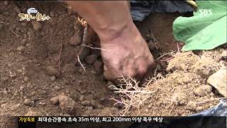 네트워크 현장 고향이 보인다 131008 다시보기 #1(10)
