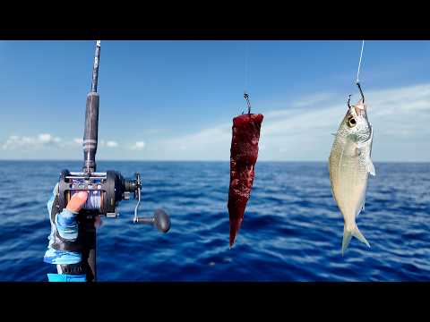 Offshore Fishing For Whatever Takes The Bait - Stuart Fl