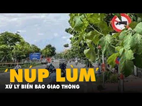 Video Bản tin sáng 20-7: Tổng rà soát, xử lý biển báo giao... - youtube