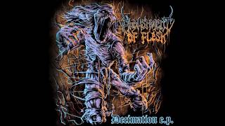 Abolishment of Flesh - The Suffering