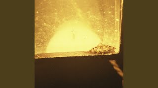moth to a flame - kai devega