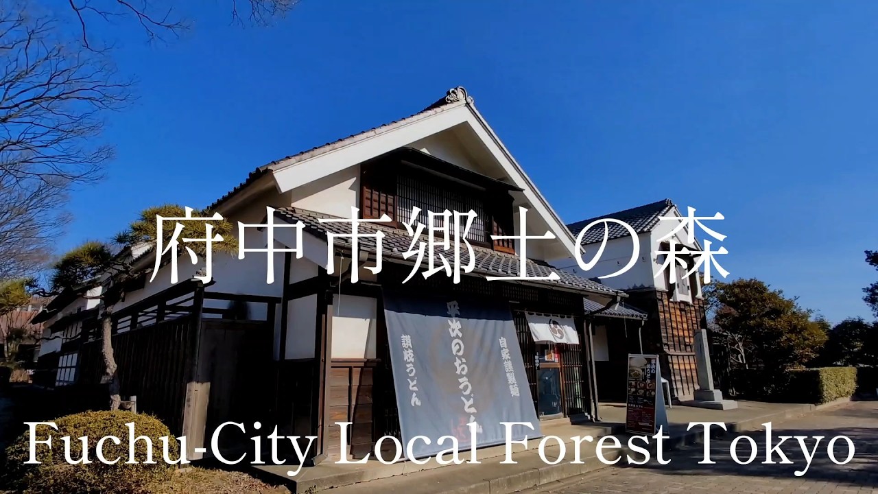 東京都観光　美しい梅林　府中市郷土の森博物館　Tokyo Tourism: Beautiful Plum Grove, Fuchu City Local Forest, Japan