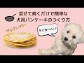 【グルテンフリー】犬用パンケーキの作り方