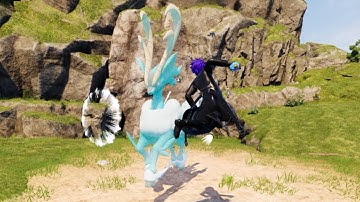 When the developer didn