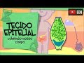 Quiz sobre Tecidos Epiteliais